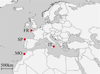 Population level variation in reproductive development and output in the golden kelp Laminaria ochroleuca under marine heat wave scenarios
